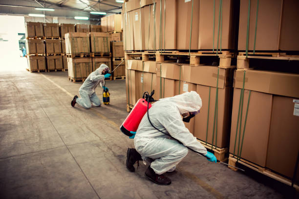 Trusted Hilbert, WI Pest Control Experts