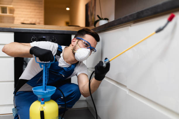 Best Rat Extermination Near Me  in Hilbert, WI