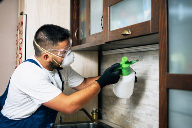 Best Exterminator Services  in Hilbert, WI