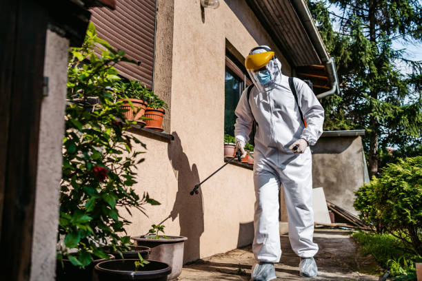 Best Pest Inspection Near Me  in Hilbert, WI