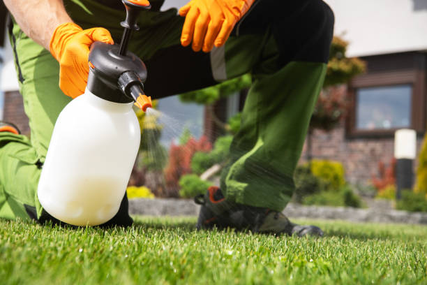 Best Best Pest Control Companies  in Hilbert, WI