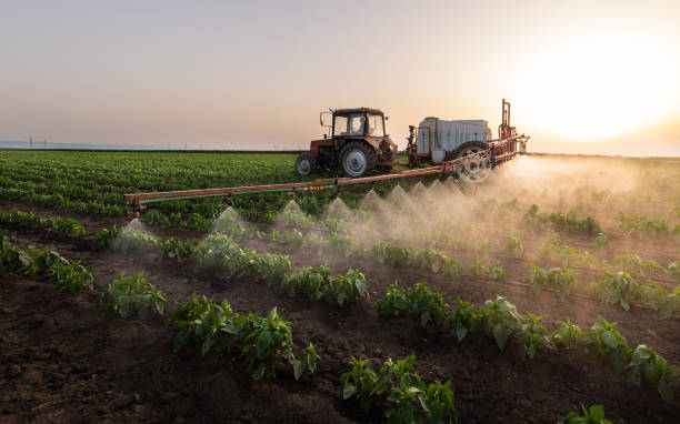 Best Pest Control Treatment  in Hilbert, WI