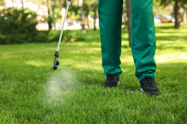 Best Affordable Pest Control Services  in Hilbert, WI