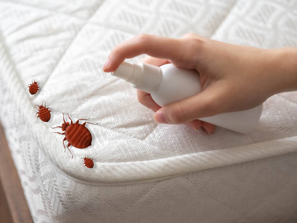  Hilbert, WI Pest Control Pros